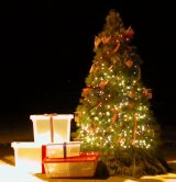Tree with presents