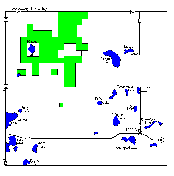 McKinley Township